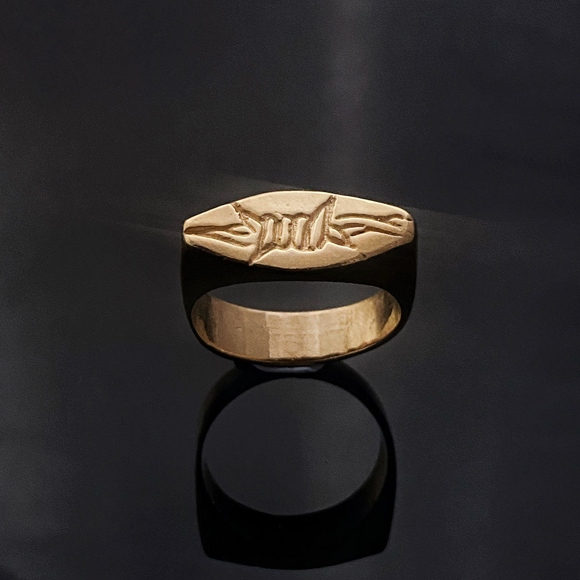 The Baptist-Barbs n Wires ring