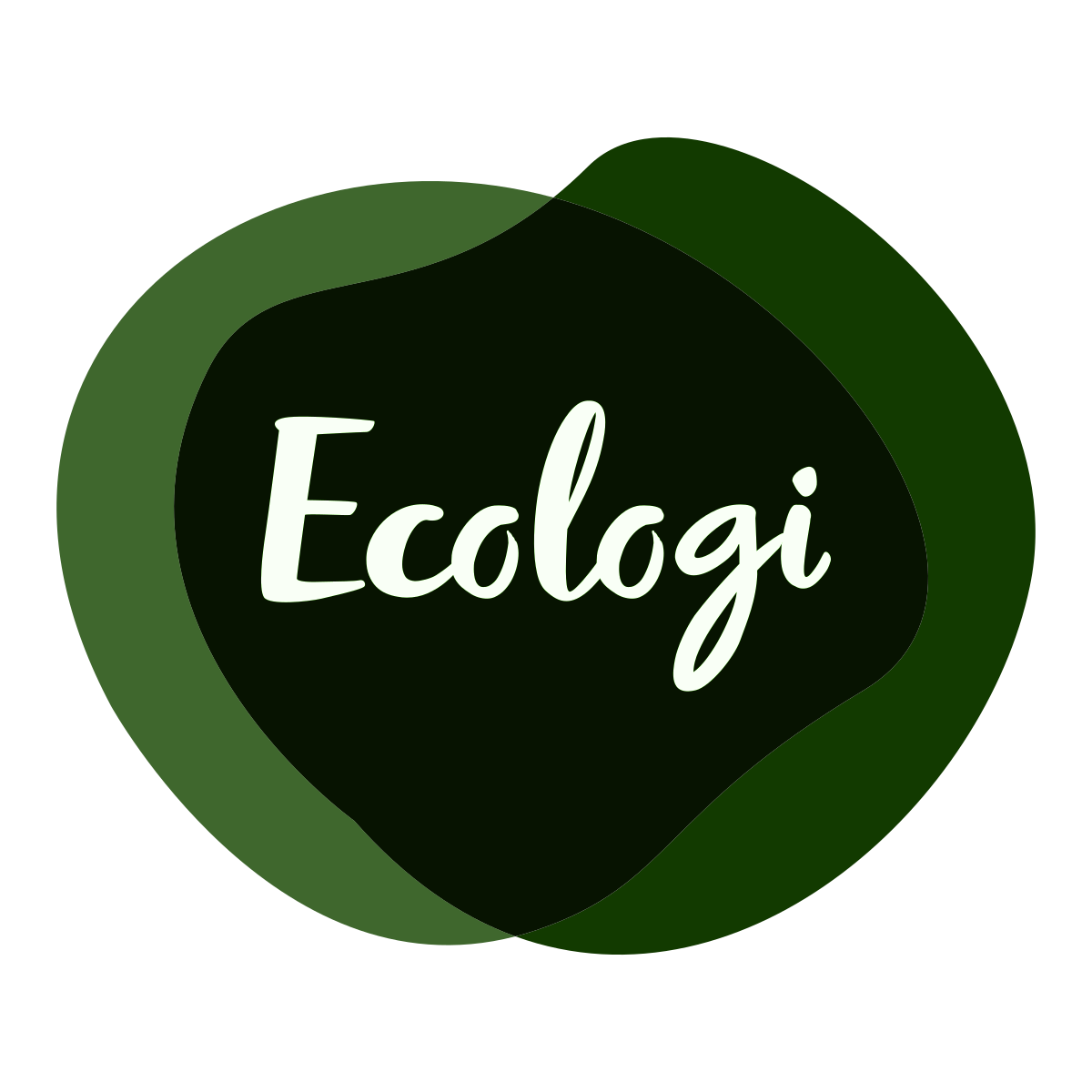 The Baptist - Ecologi Value