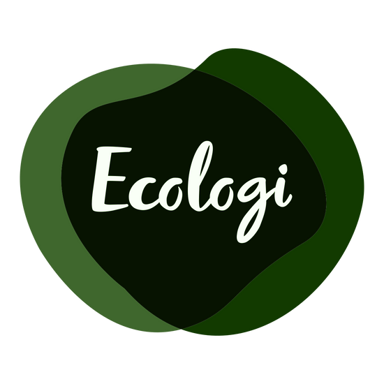 The Baptist - Ecologi Value