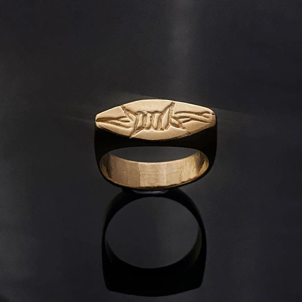 The Baptist-Barbs n Wires ring